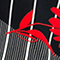 SCHWARZ/ ROT/ WEISS