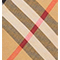 VINTAGE CHECK