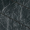 ALGAE