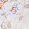 GELB/ ORANGE/ GRÜN