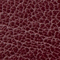 AUBERGINE