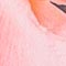 APRICOT/ GRAU