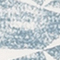 BLAUGRAU/ WEISS