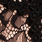 ROSA/ SCHWARZ