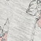 GRAU/ ROSA