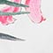 WEISS/ GRÜN/ PINK