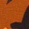 ORANGE/ SCHWARZ