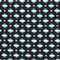 SCHWARZ/ MINT