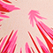 PINK/ SCHWARZ