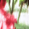 GRÜN/ ROT/ WEISS