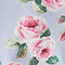 HELLBLAU/ ROSA