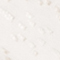 CHAMPAGNER