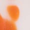 GOLD/ WEISS/ ORANGE