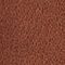 BRAUN