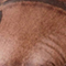 BRAUN