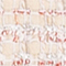 CREME/ ROT/ WEISS