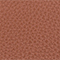BRAUN