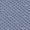 BLEU PLATINE