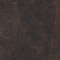 BRAUN