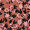BRAUN/ SCHWARZ/ ROSA