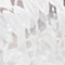 WEISS