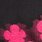 362 schwarz pink