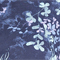 BLAU/ MINT/ HELLBLAU