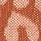 ROSE/ KORALLE