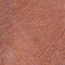 BRAUN