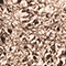 BRAUN