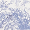 BLAU/ WEISS