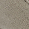 OLIV
