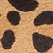 CAMEL/ SCHWARZ