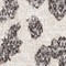 SAND/ SCHWARZ