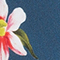 BLAU/ GRÜN/ ROSA