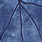 HELLBLAU/ BLAU