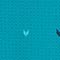 BLAU/ PETROL