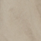 SCHILF