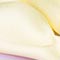 LILA/ BEIGE/ GELB