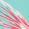 MINT/ ROSA