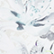 WEISS/ MINT