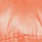 ORANGE/ LACHS