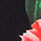 SCHWARZ/ ROT/ WEISS