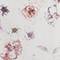 CREME/ ALTROSA