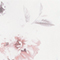 WEISS/ ROT