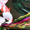 OLIV/ PINK