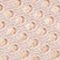 ROSA/ ROSA METALLIC