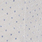 SILBER/ HELLBLAU