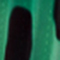 GRÜN/ SCHWARZ
