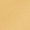 NAVY/ GOLD